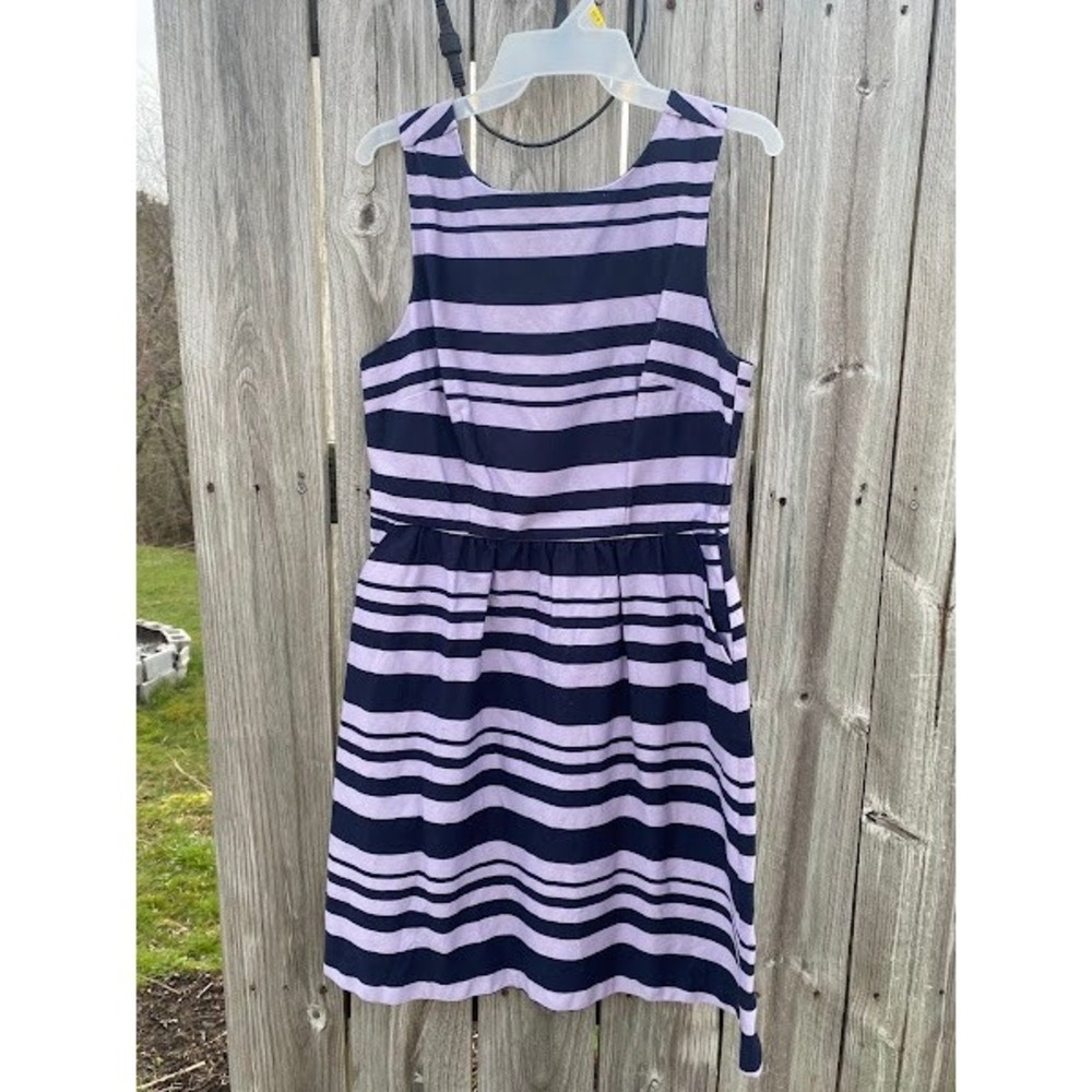 The Limited Navy Blue Lavender Striped Fit Flare Pockets Dress Womens 8